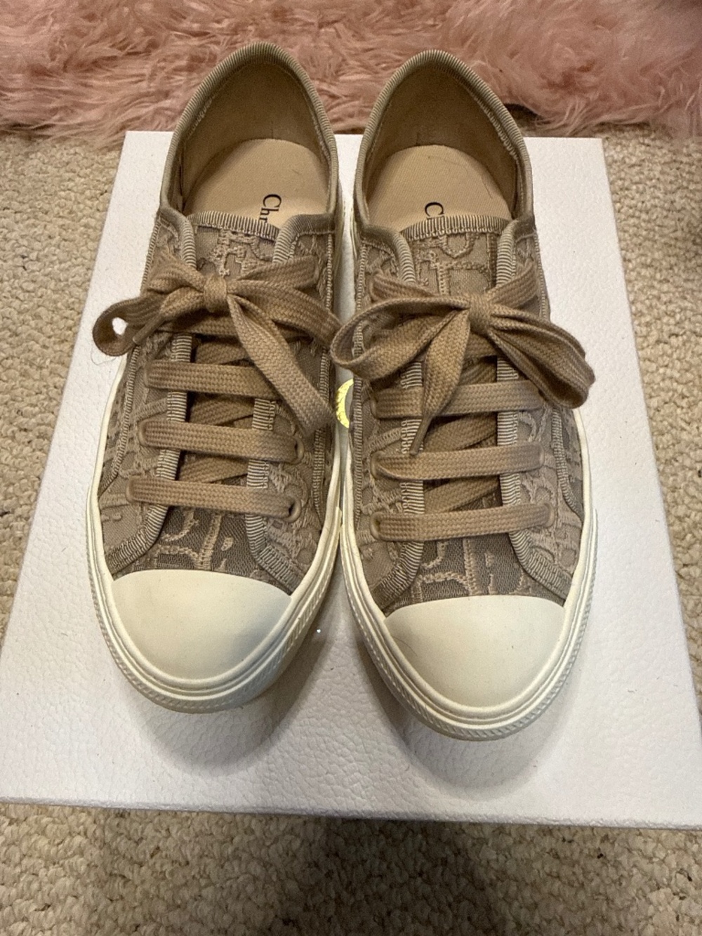 Dior sneakers